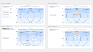 Capture d'écran d'un gabarit d'activité de priorisation