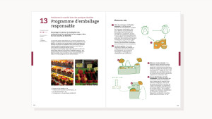 Extrait du rapport présentant une opportunité de nouveau service dans les marchés